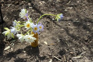 bunch of flowers