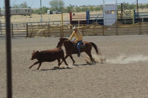 Brunette Campdraft