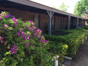 Barkly Homestead