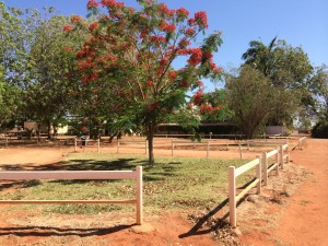 Barkly Homestead