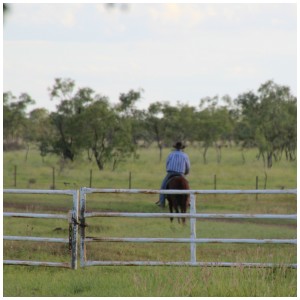 Mr Chardy Riding