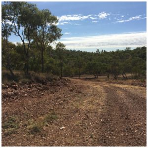 Hiking Camooweal