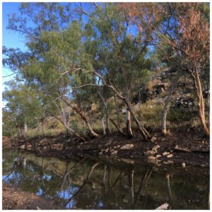 Hiking Waterhole