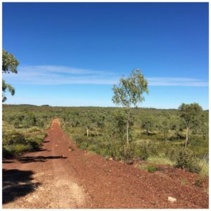 Hiking road