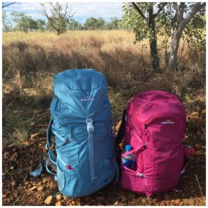 hiking backpacks