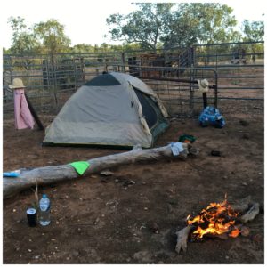 hiking night 2 camp set up