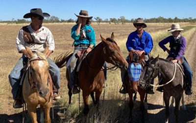 What to pack when going to work on a cattle station
