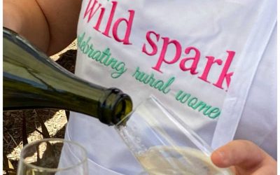 Wild Spark Camooweal Races 2021