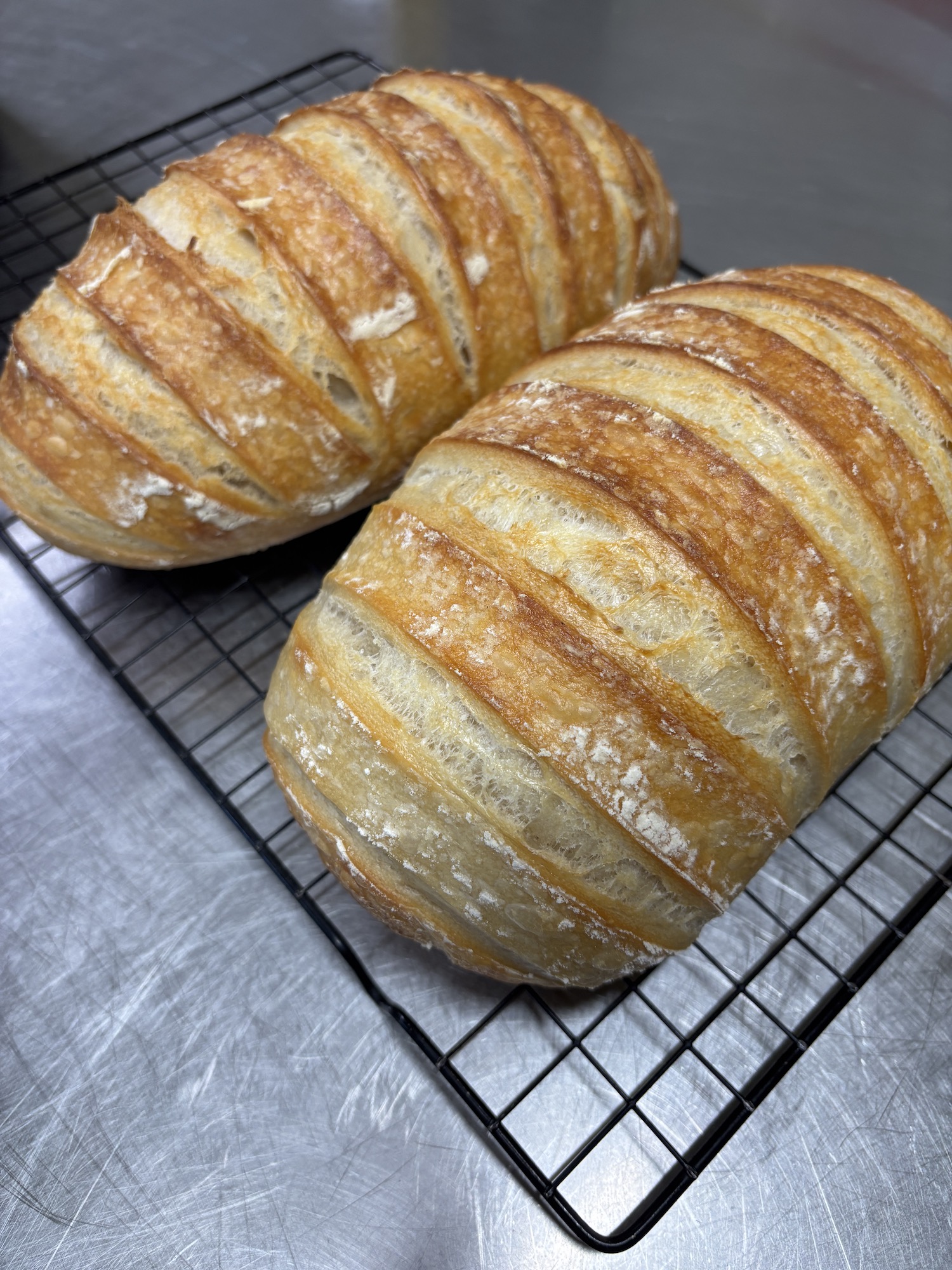 Miss Chardy's Bakery - Image 3